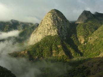 Ruta de Los Tiles en Garajonay